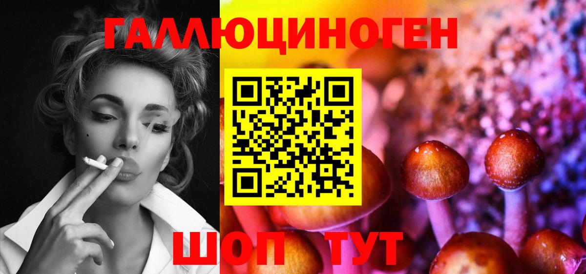 закладки  Вход с VPN  Удомля  Галлюциногенные грибы мухоморы 
